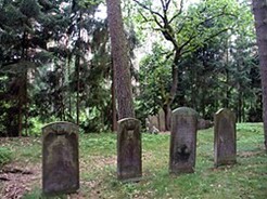 Führung über den Jüdischen Friedhof
