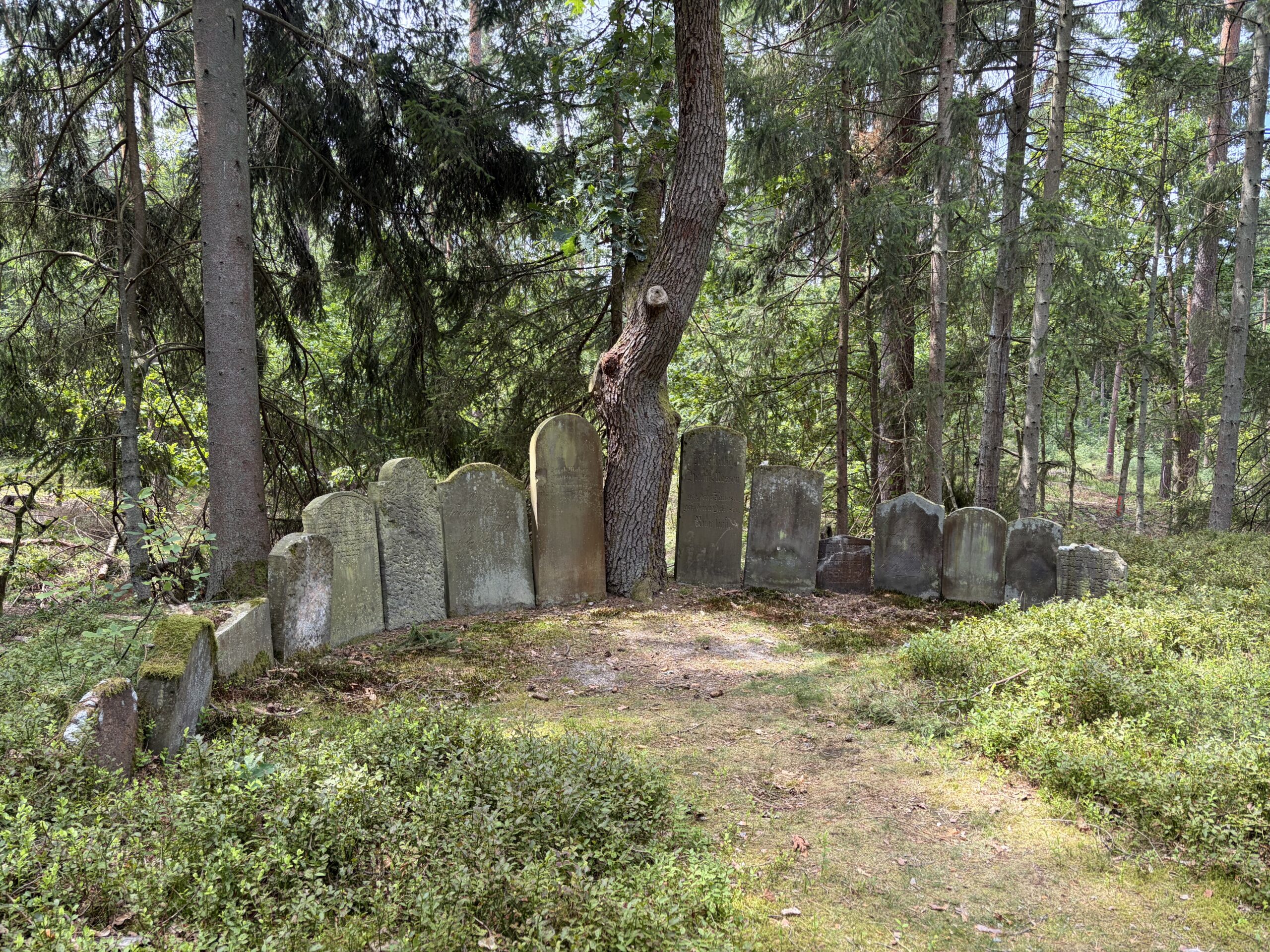 Wanderung über den Jüdischen Friedhof in Bleckede