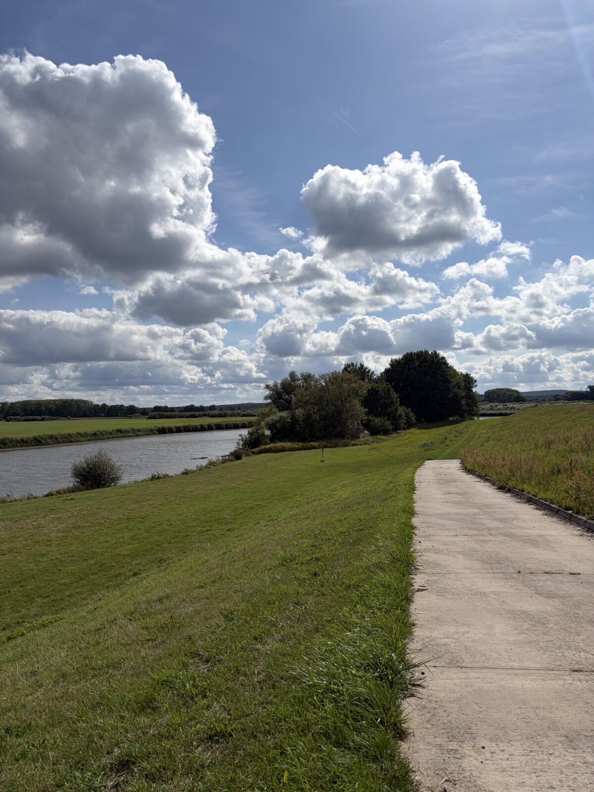 Die Alte Elbe @ Petra Klinge