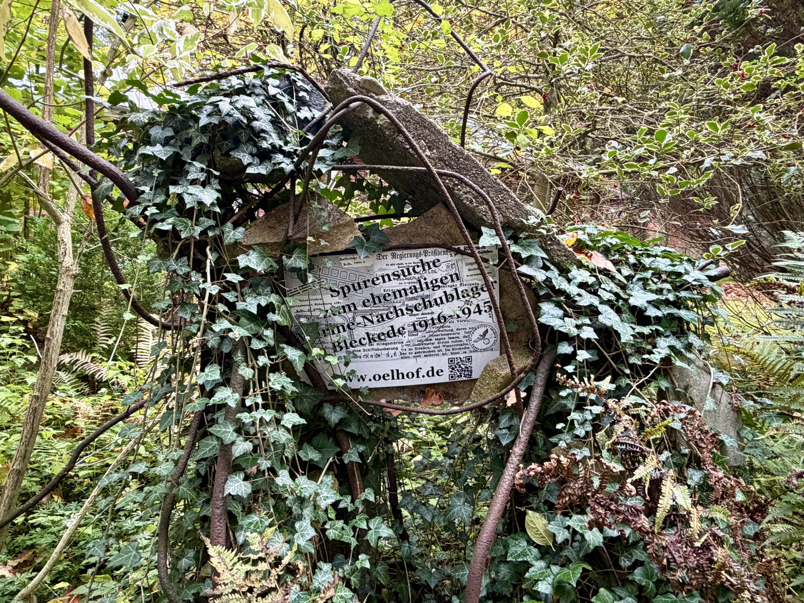 Was macht der Spargel auf dem Ölhof?
