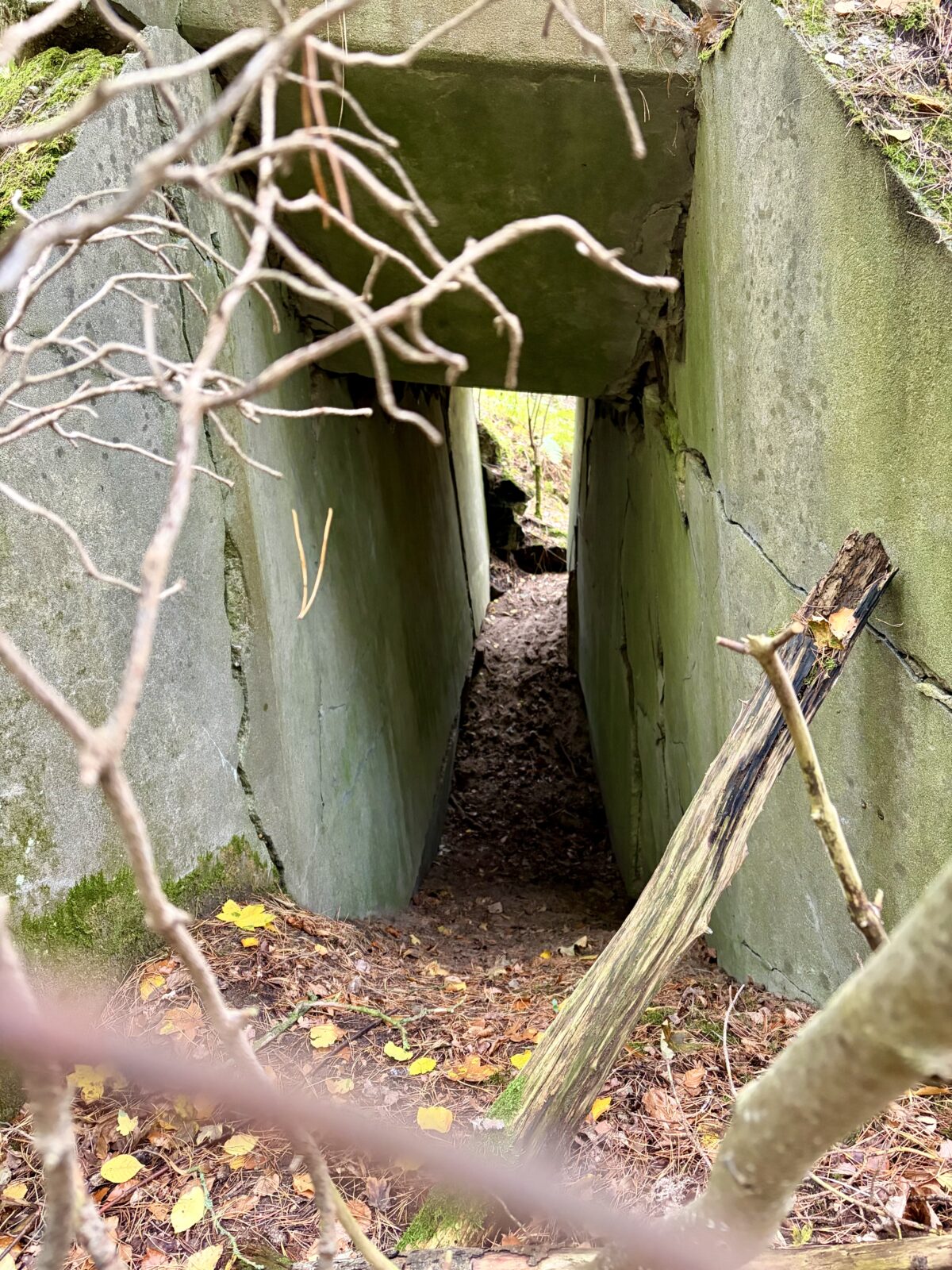 Tunnel